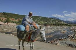 Image du Maroc Professionnelle de  Un berbère rentre chez lui à dos de mulet bien chargés de sacs de foins destinés à la nourriture du bétail après avoir fait ses courses au marché de Tnine Ourika, le village berbère située dans la vallée de l'Ourika sur la route de l'Oukaimden dans le haut Atlas, Mardi 27 Février 2007. (Photo / Abdeljalil Bounhar) 